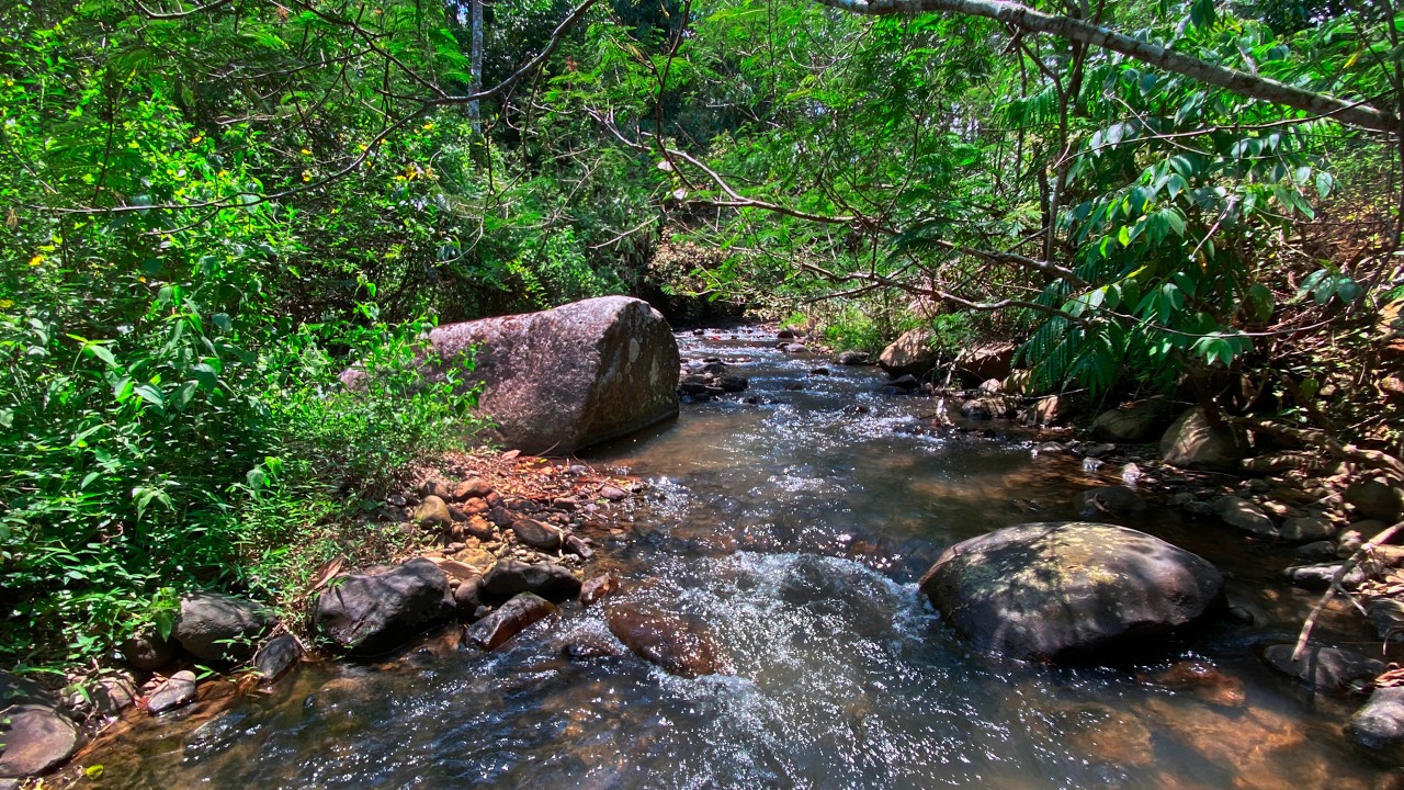 Beat Stress & Fall Asleep Fast with Sound of Peaceful Forest River Beneath Lush Green Canopy Views