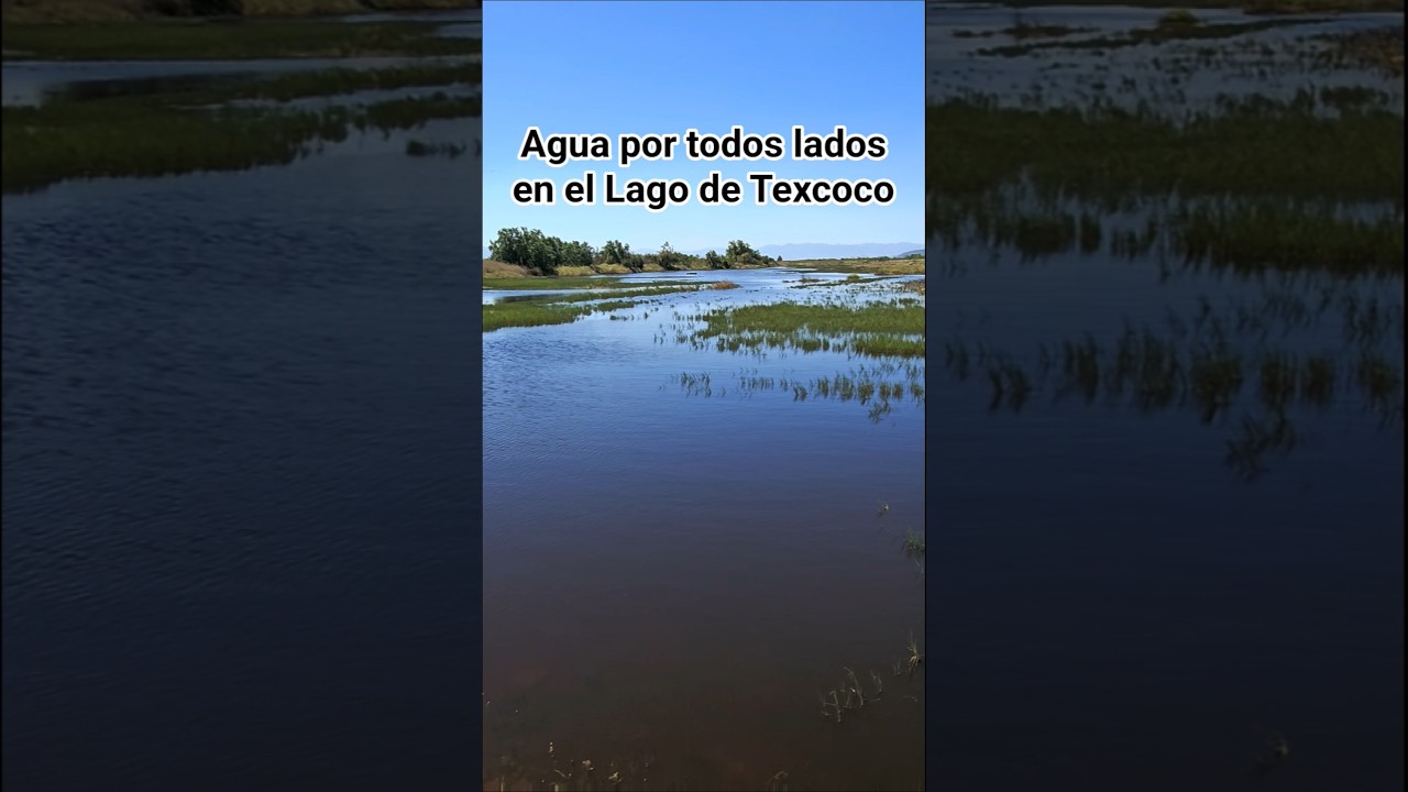Agua por todos lados en el #lagodetexcoco