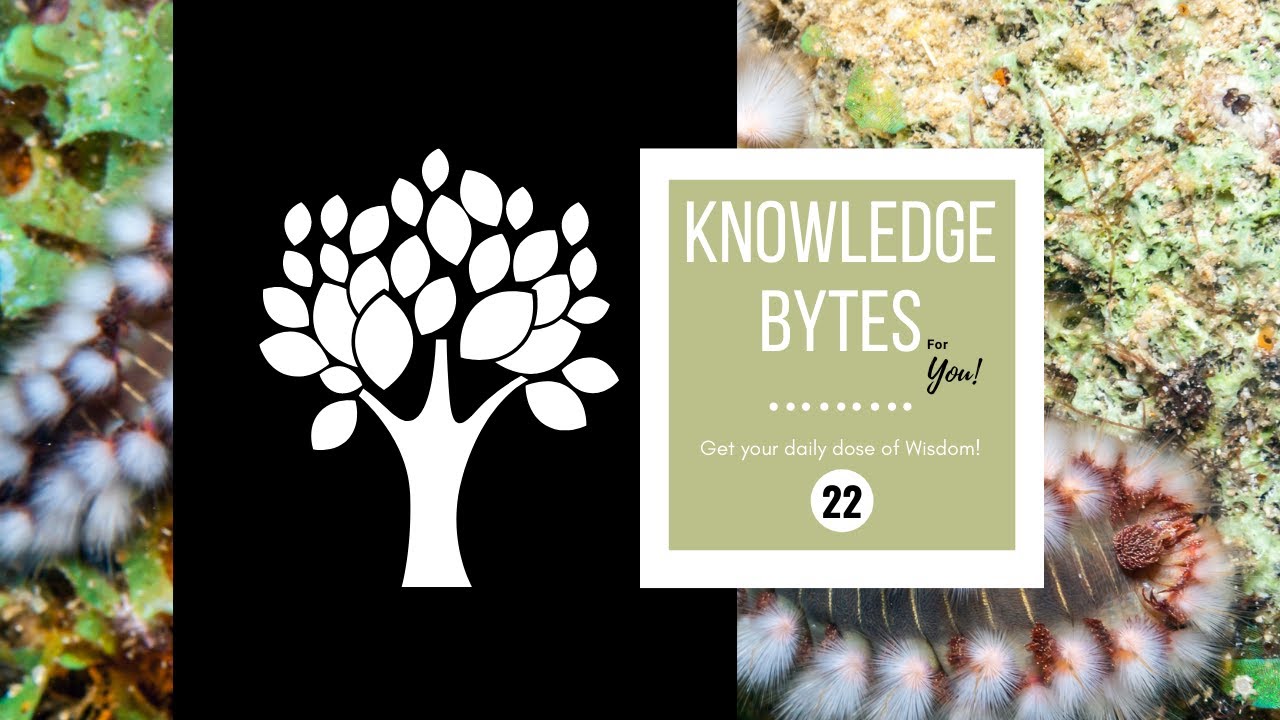 22. Knowledge Bytes - Amazing Facts
