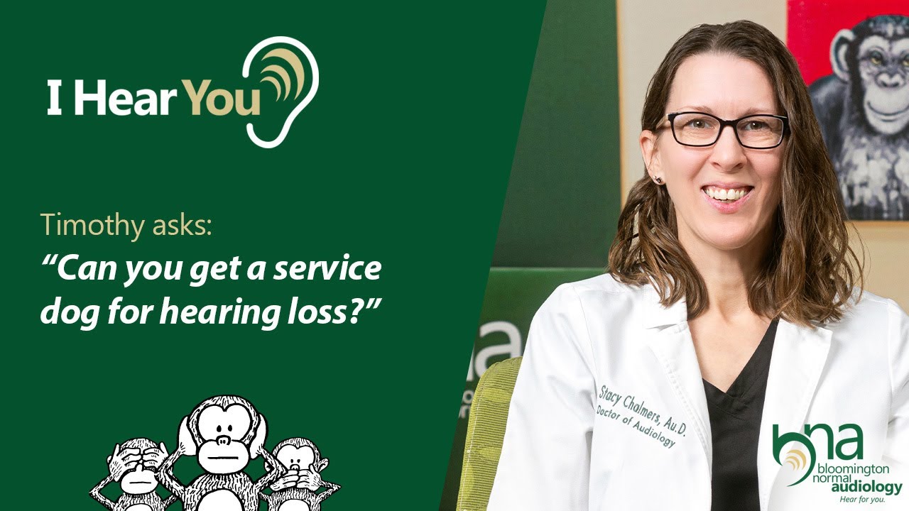 Service Dogs for Hearing Loss? | I Hear You, Ep 92