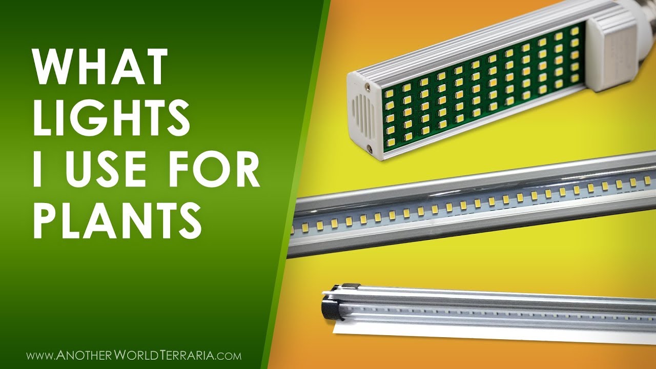 Three types of lights I use to grow plants. (One might surprise you!)