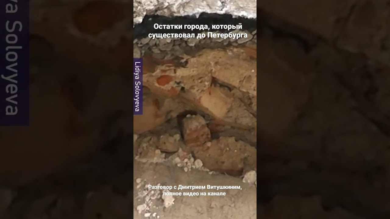 Ниеншанц и Ингрия. Рассказывает Дмитрий Витушкин. 6 выпуск цикла #ингриябудетсвободной #ingria