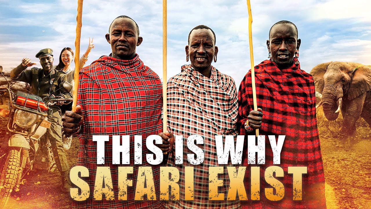 The Truth Tourists Never See on a Luxury Safari