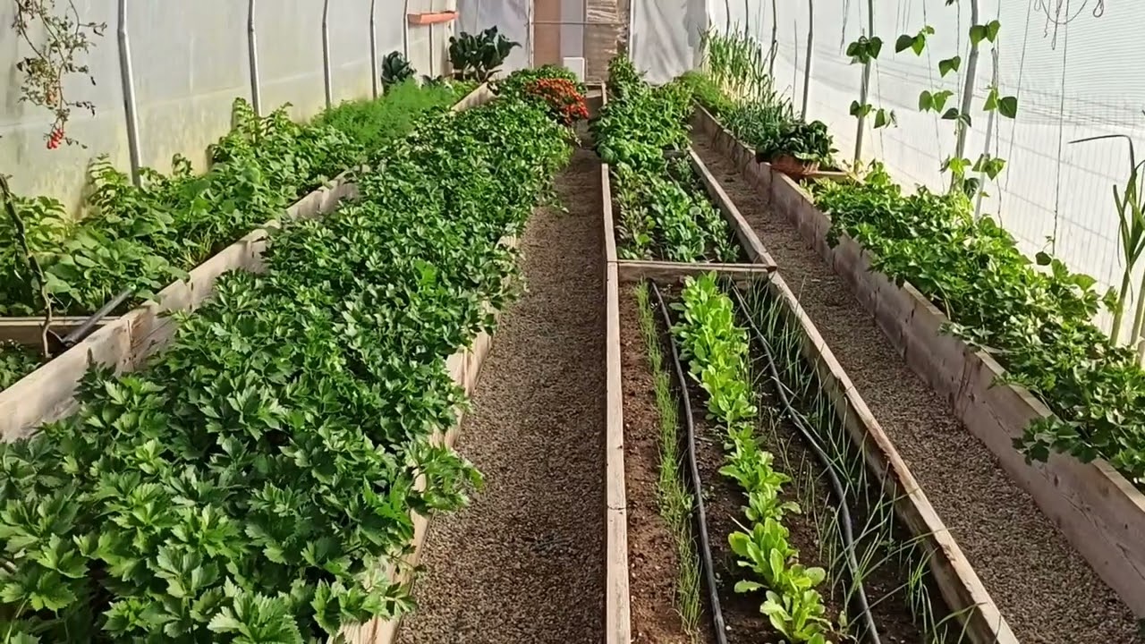 Solariile la sfarsitul lunii octombrie.