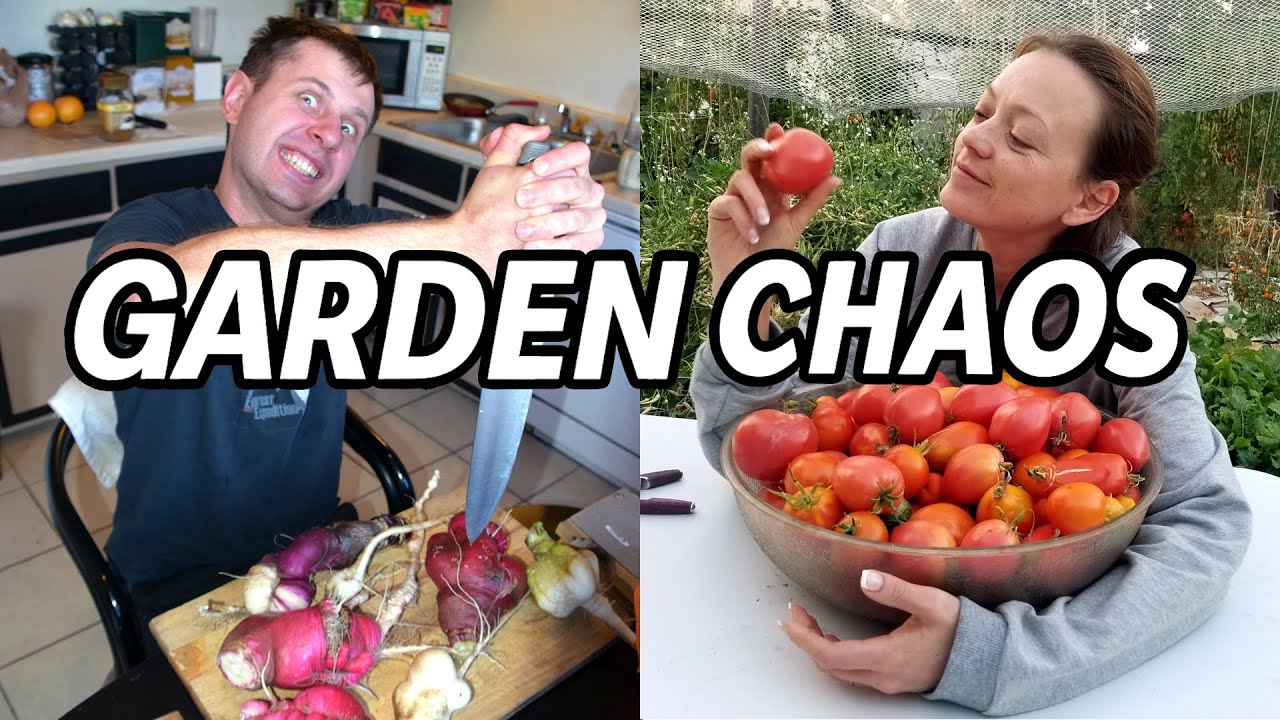 Our Backyard Garden Journey in Hot, Dry Colorado – 8 Years of Growing & Cooking