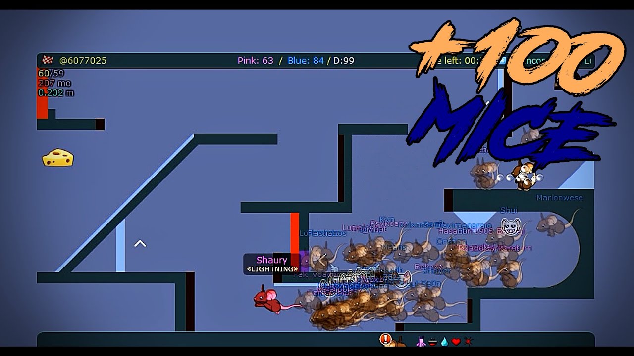 Transformice - Brkrmn (+100 MICE) Racing Gameplay #119