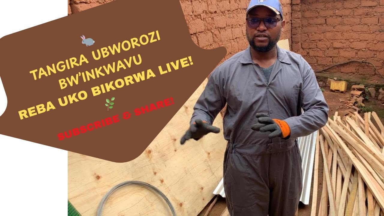 INKWAVU EPISODE 8: 🐇TANGIRA UBWOROZI BW'INKWAVU🐇 REBA UKO BIKORWA LIVE🌿🌿