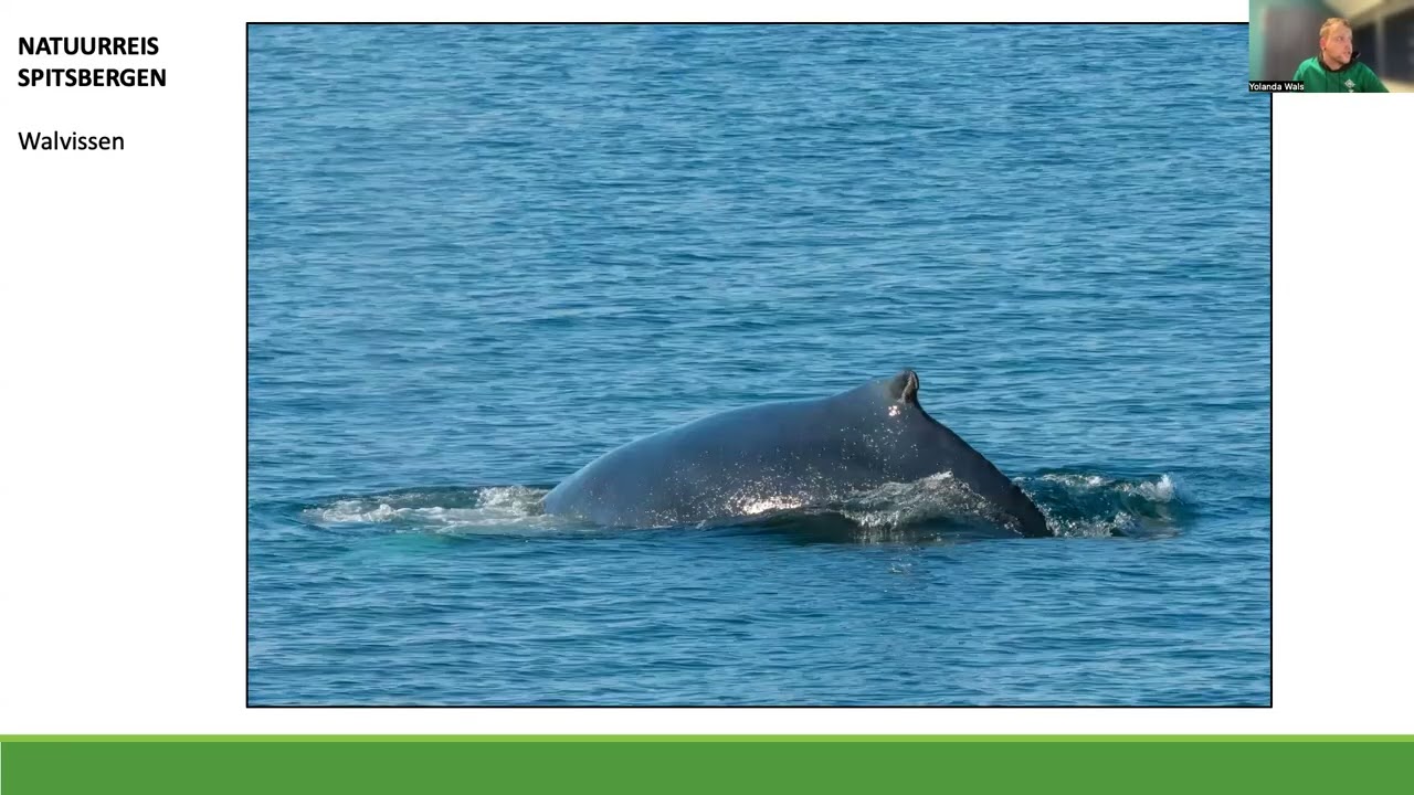 Presentatie Natuurreis Spitsbergen