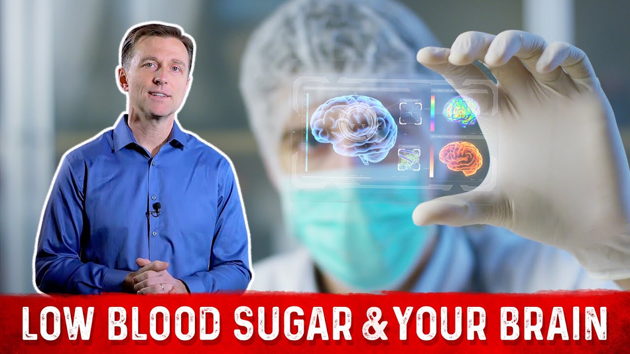 Physiology Of Low Blood Sugar (Hypoglycemia) On Your Brain &ndash; Dr. Berg