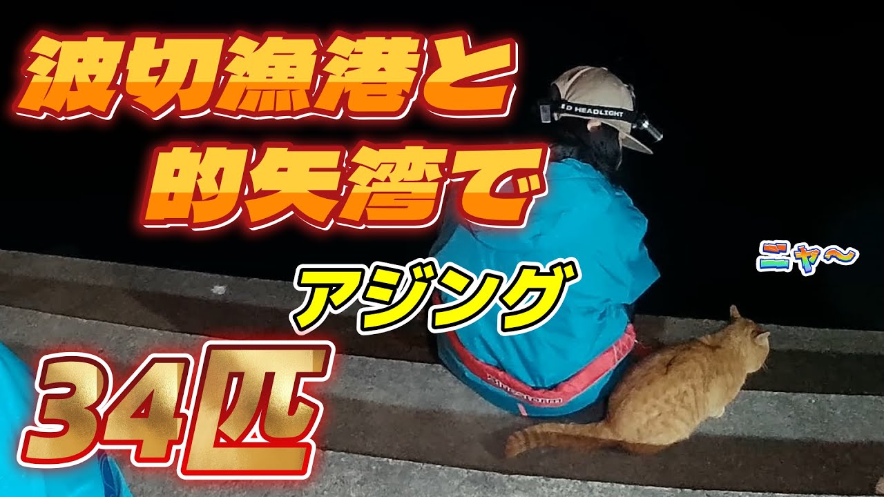 2025.2.15 波切漁港と的矢湾でアジング