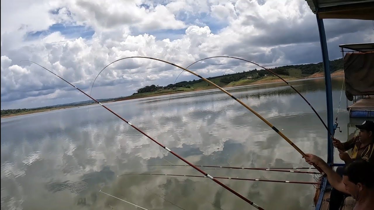 PODE ATÉ PEDE MÚSICA 3 TILAPOSSAURO SEGUIDA...