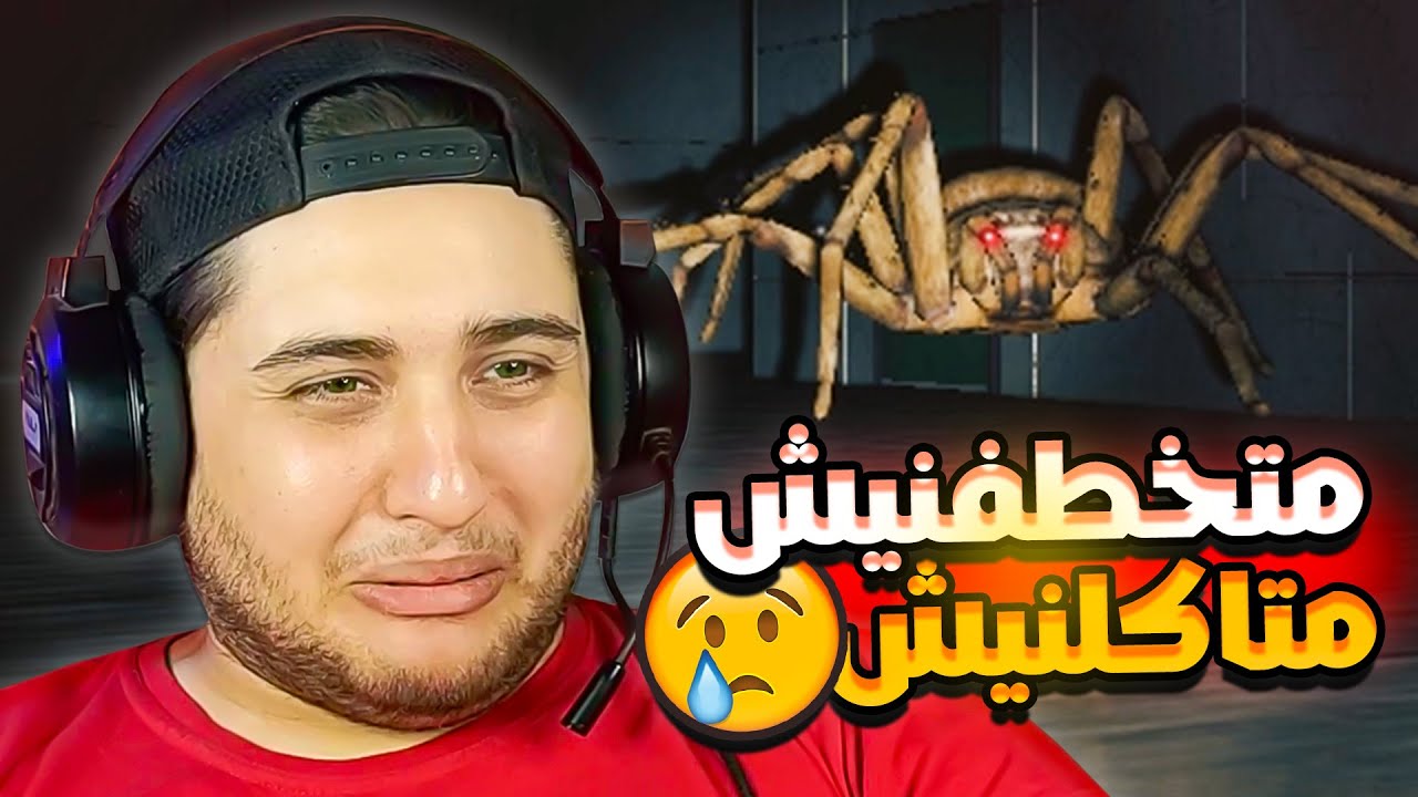 دخلت مختبر عناكب وبقيت احلا غدا لعنكبوت ضخم 😱😂 Huntsman
