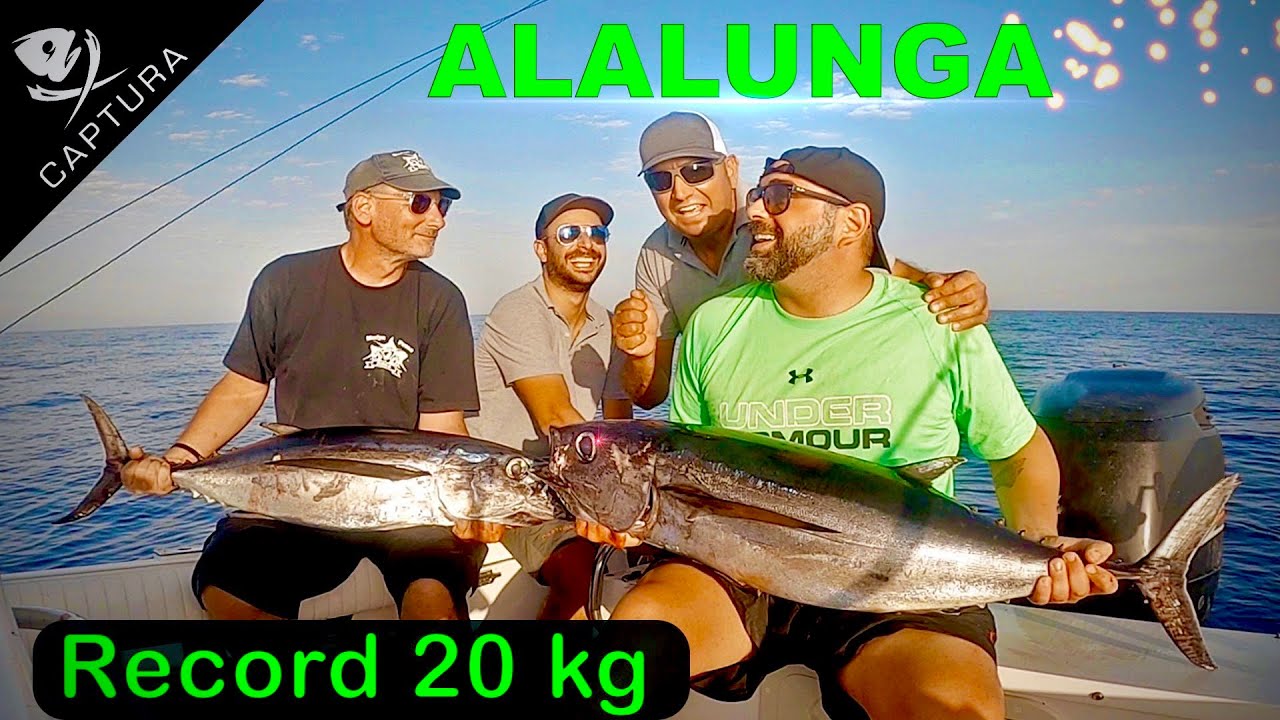 Traina d'altura: tonno alalunga record