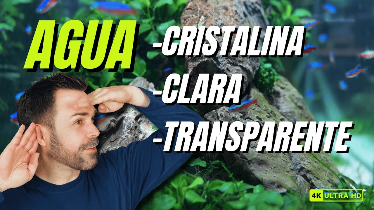 AGUA CRISTALINA 💎🌊 GUÍA COMPLETA PARA UN ACUARIO CLARO Y TRANSPARENTE