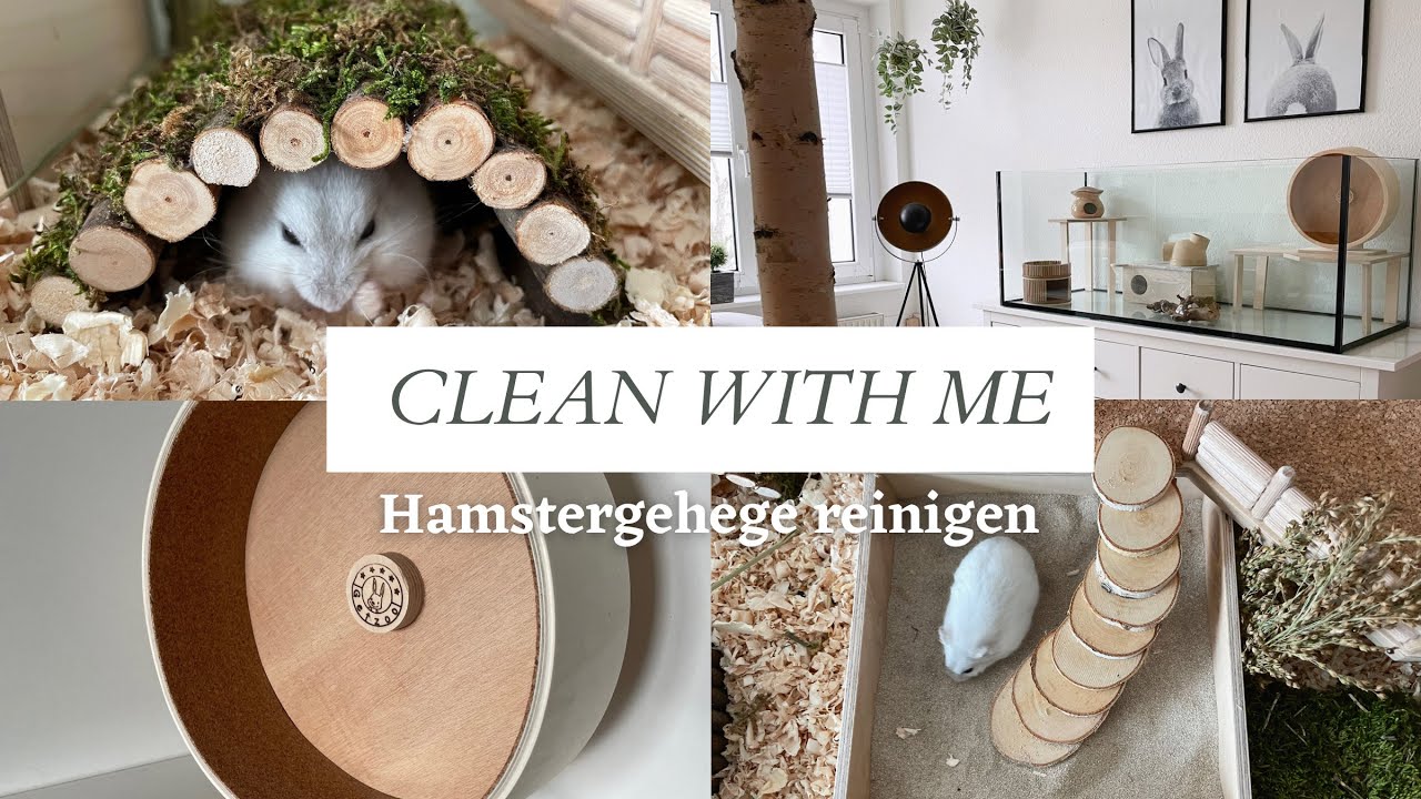 Hamstergehege reinigen | Hamsterstübchen