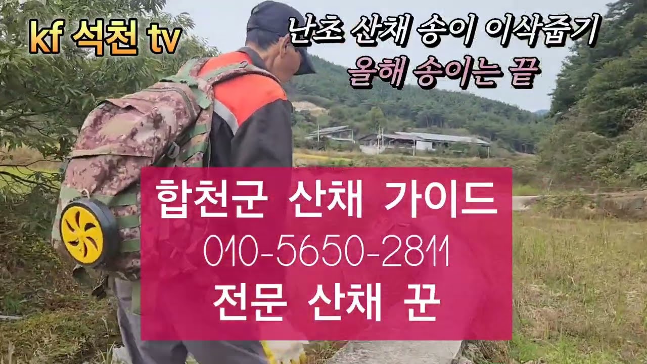 합천 난초 산채 밭자리 공개 가이드 010-5650-2811 산채 경력 35년 골짝 골짝 자기 밭 자리. #kf석천tv #합천 #합천땜 #여행 #귀농귀촌 #삼가면 #쌍백 #쌍책