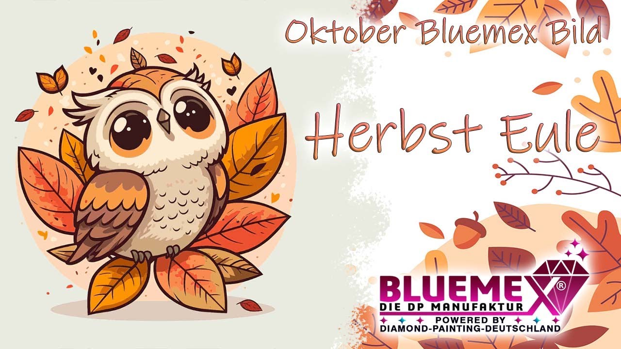 Diamond Painting | Oktober Bluemex Bild | Die kleine Herbst Eule mit runden Steinen