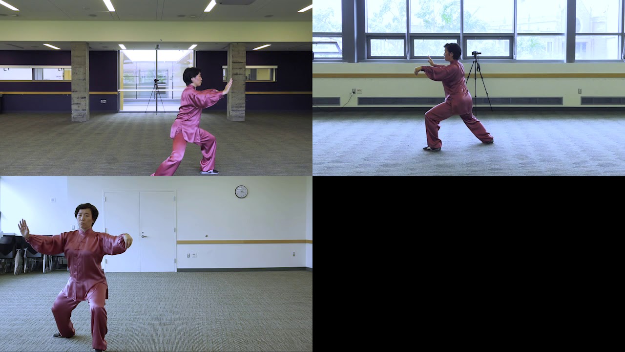 Chen Style Taichi 18 Forms with 3 Angles by Yijiao Hong 陈正雷宗师入室弟子洪一姣陈氏太极精要18式