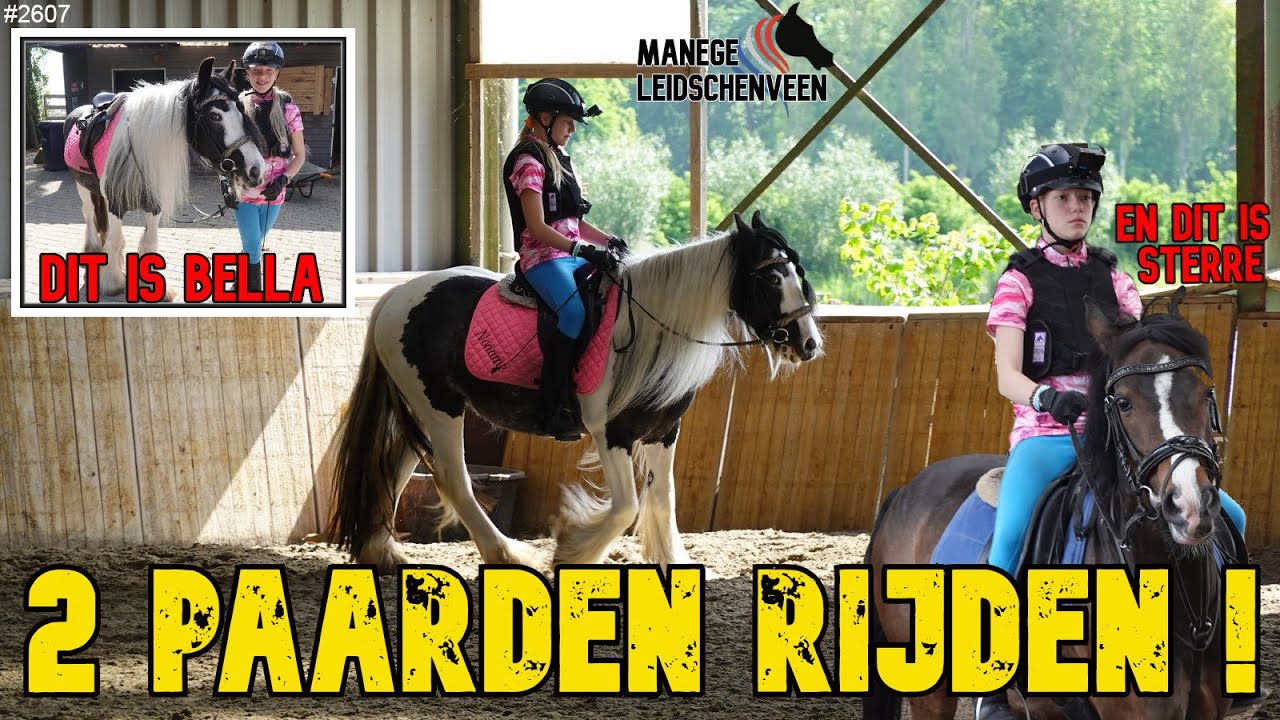 Rijden op een TINKER bij MANEGE LEIDSCHENVEEN. Tijdens de LES verder op STERREN, zie de VIDEO #2607