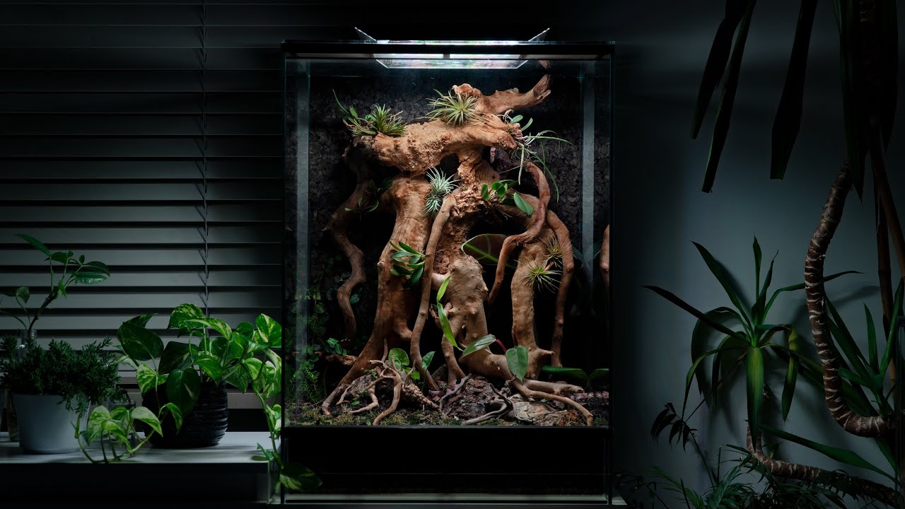 Terrarium dla Gekona orzęsionego cz. II - przygotowanie podłoża oraz sadzenie roślin