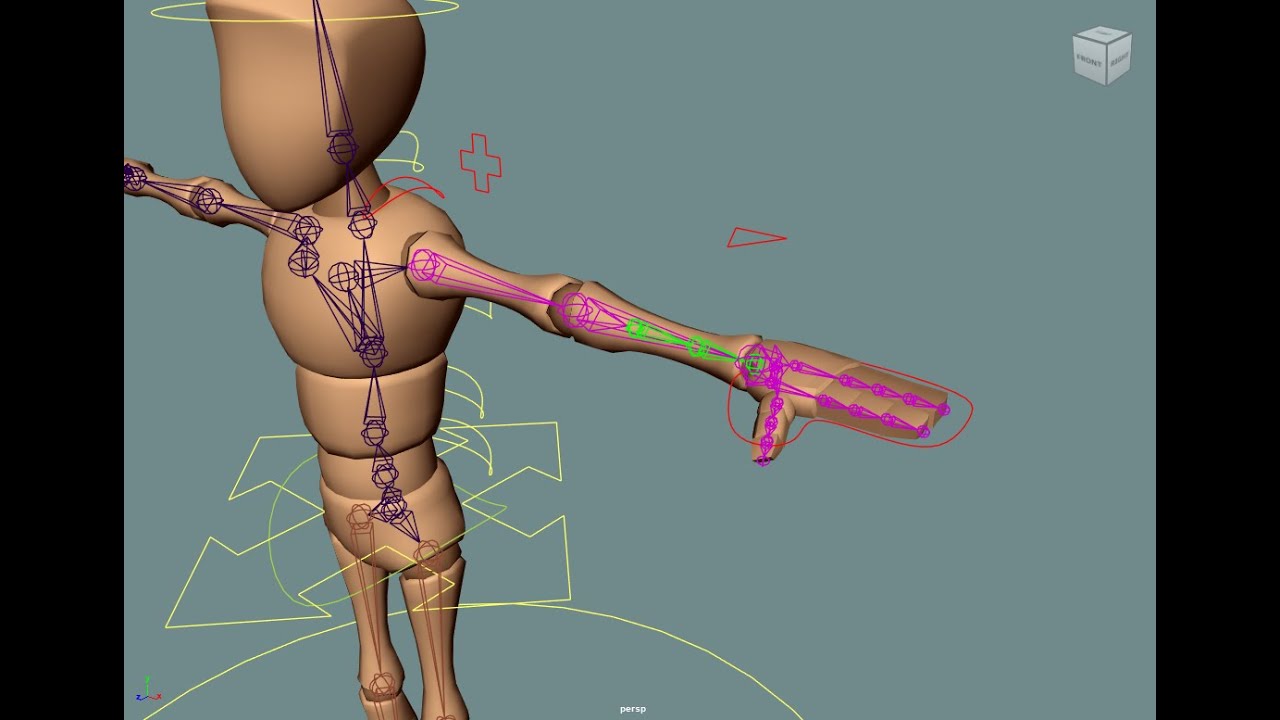 Rigging of a Biped Character: Rigging of the Arm part 2 - Lower Arm twist