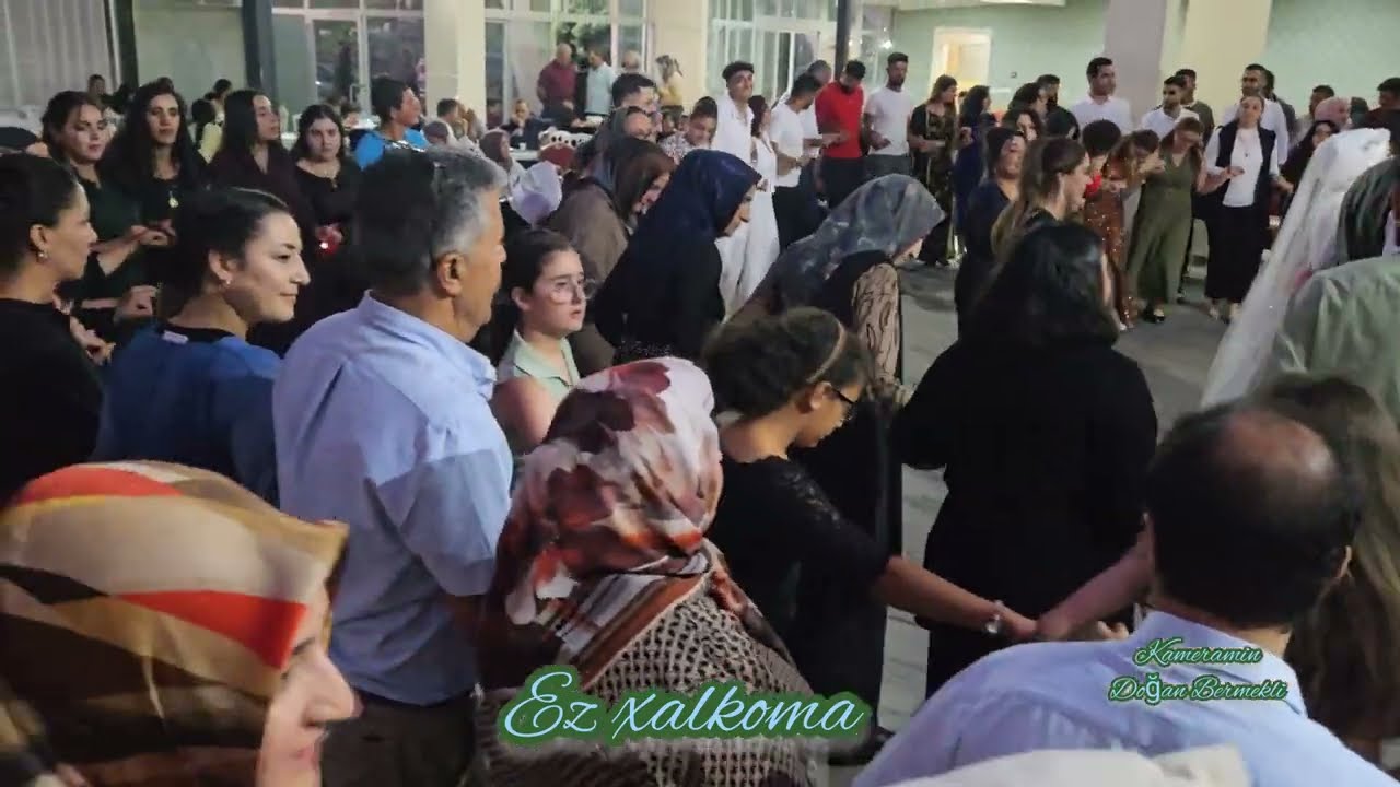 cihabeyli xalko karabulut Düğünü 2024 Dogan Bermekli