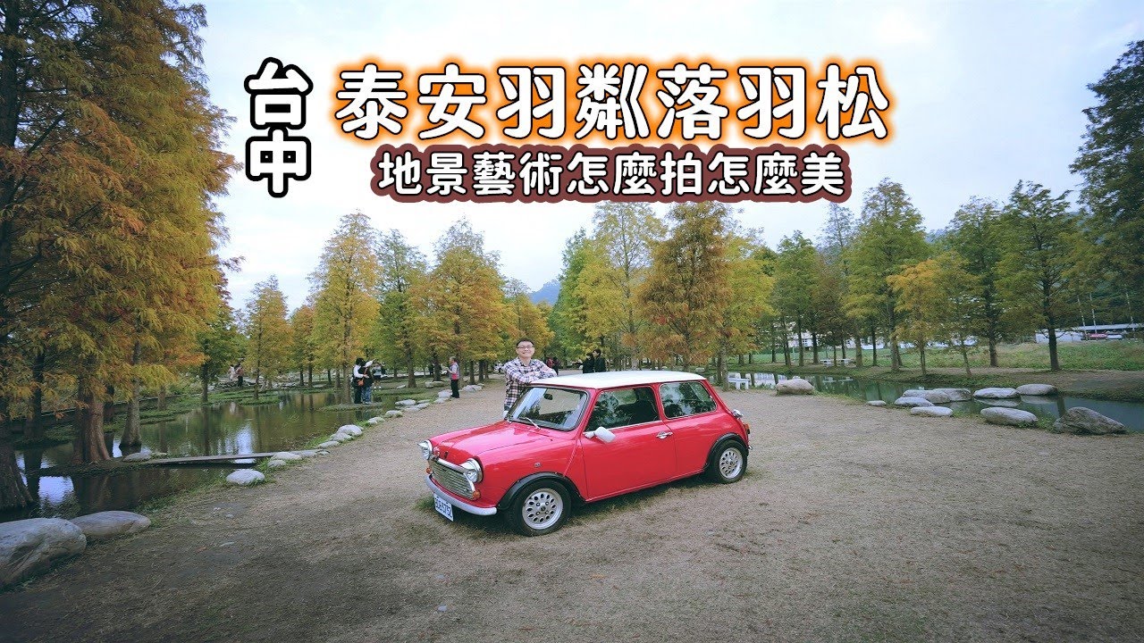 台中泰安落羽松「羽粼落羽松」就在火車站附近，園區地景藝術設計完全融入落羽松隨便拍照片都好美！