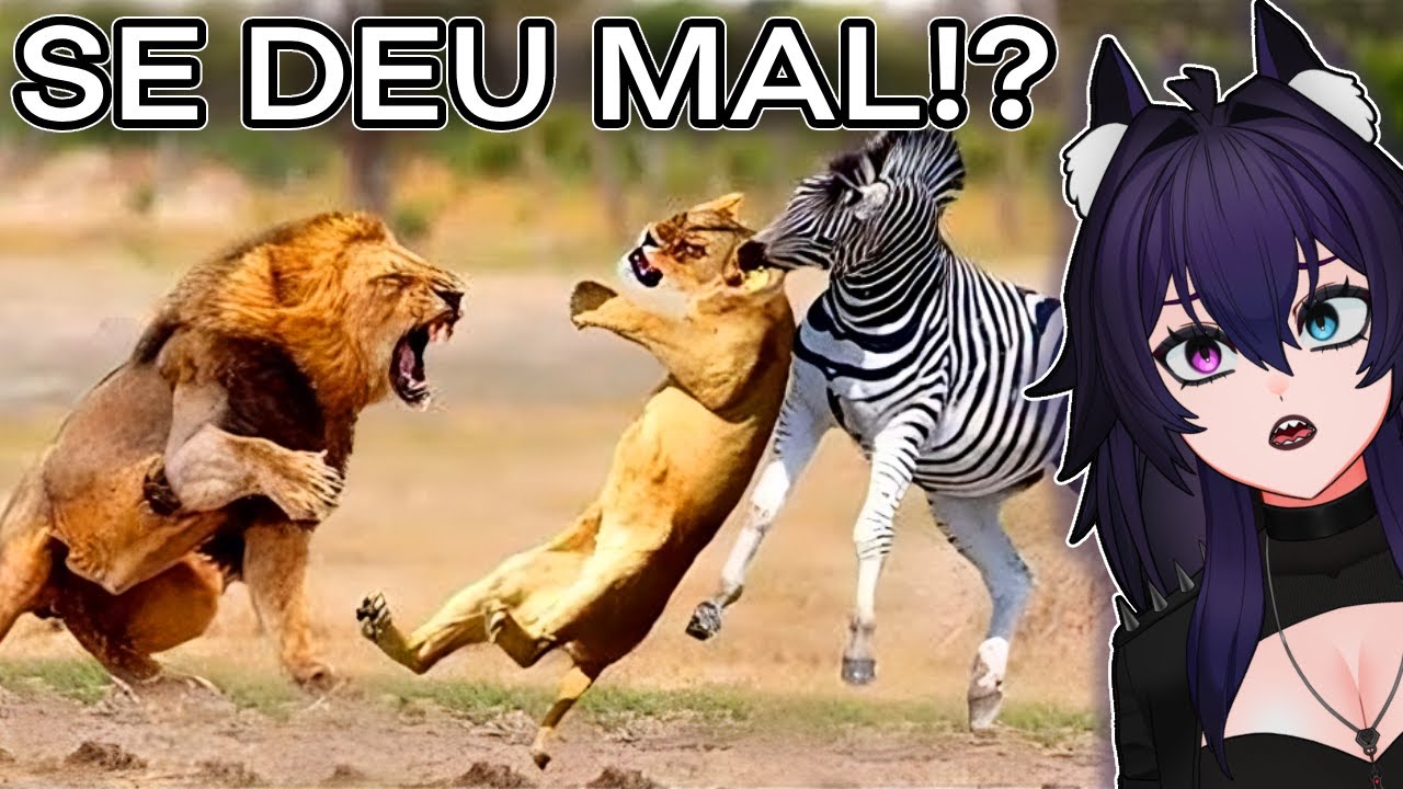 Quando Os ANIMAIS Escolhem a PRESA ERRADA! - Fala de Tudo | Biahkov