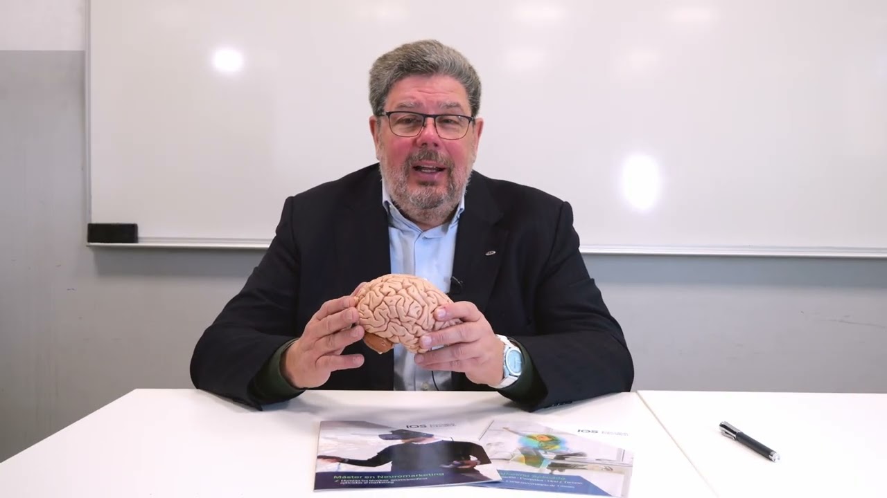 El estudio del Neuromarketing. ¿Qué es? y qué no  lo es