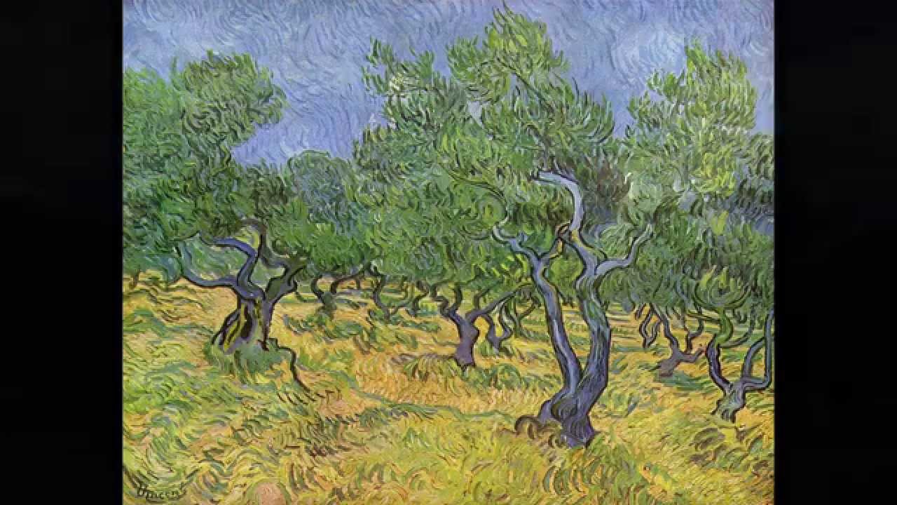 Saint-Remy-de Provence Roman Ruins & Vincent Van Gogh's Asylum
