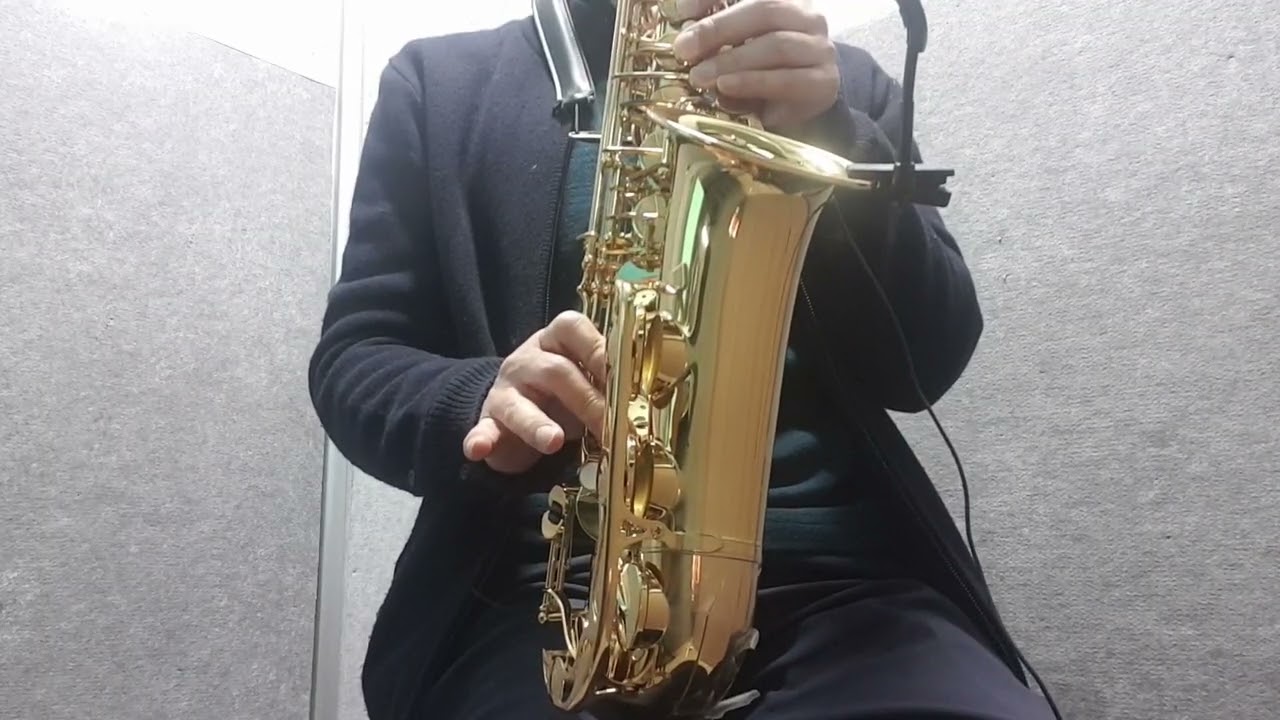 tonight i celebrate my love Roberta Flack & Peabo Bryson  #saxophone #색소폰 #추억의노래  #머털의색소폰