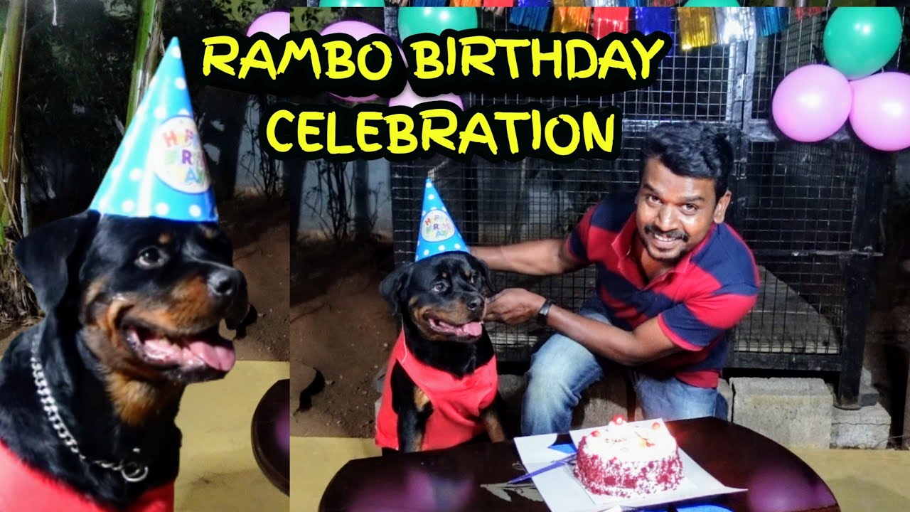 RAMBO'S FIRST BIRTHDAY CELEBRATION | HE PUNCHED ME | IS HE HAPPY? | TAMIL VLOG |