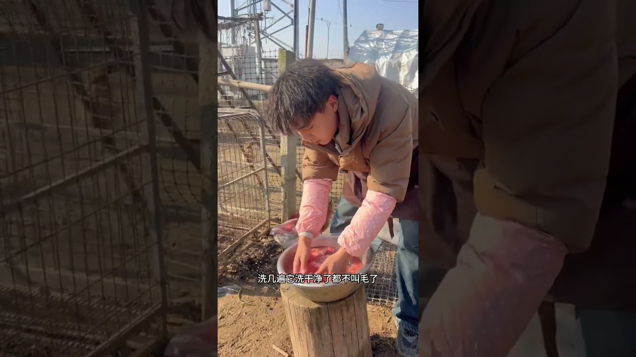 跟拧哥出去几天，回来奶奶给我做面煎鸡，做的太好吃了#我的乡村生活 #抖音记录农村生活 #农村生活