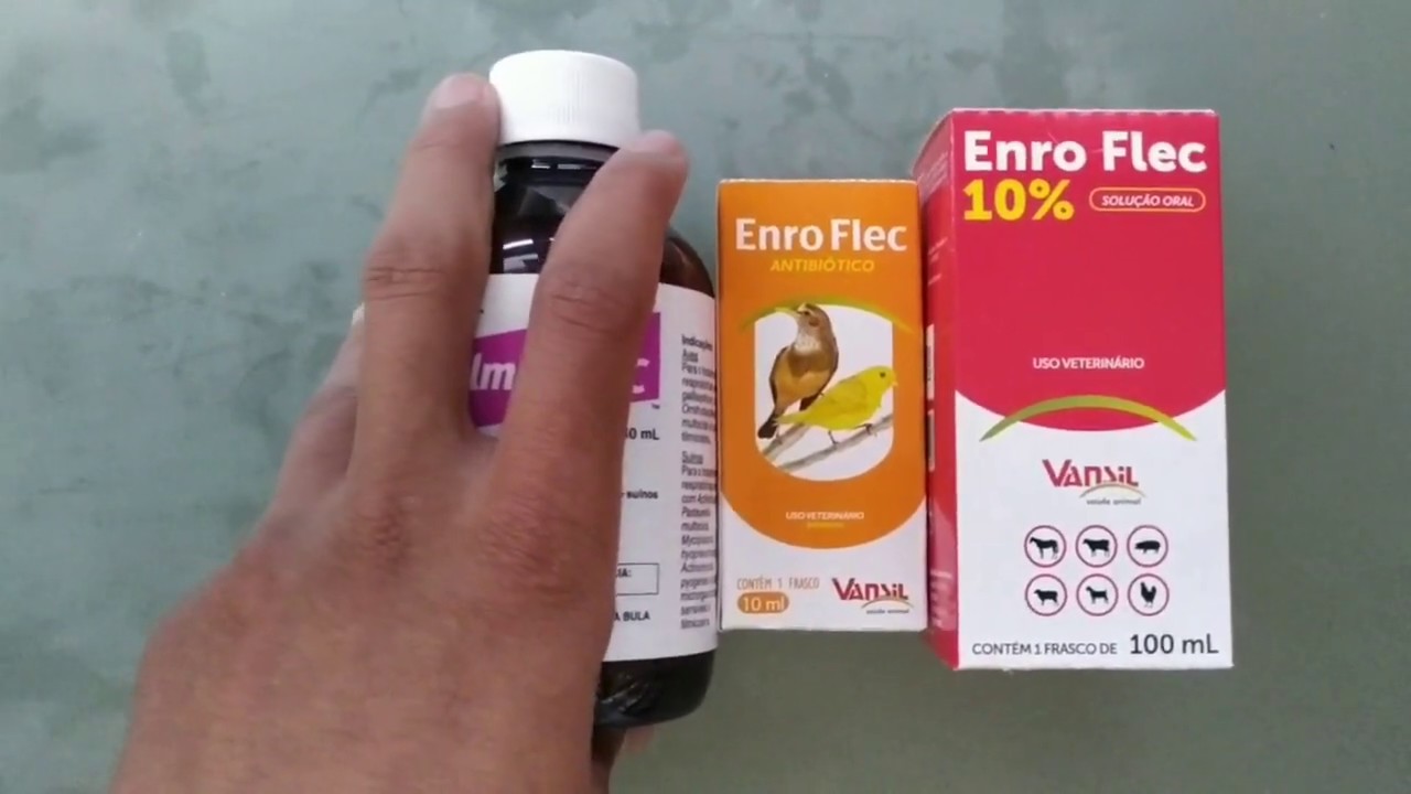 MICOPLASMOSE  EM AVES !