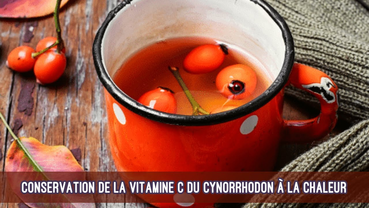 cynorrhodon eglantier conservation vitamine C
