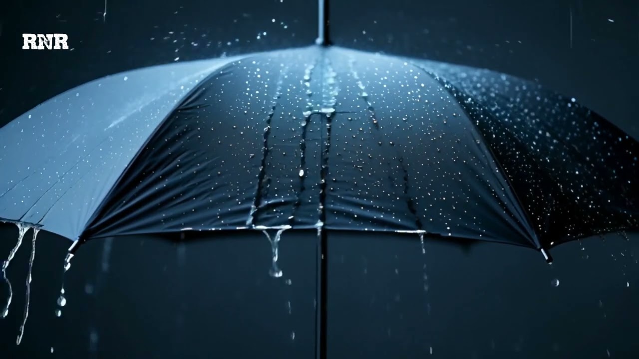 Rain on Black Umbrella ASMR . Relaxing Rain Sounds for Sleep, Study & Stress Relief