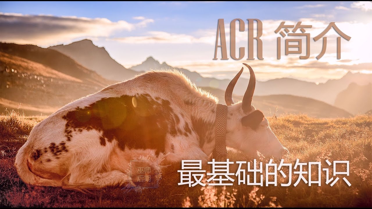 ACR简介&mdash;&mdash;最基础的知识