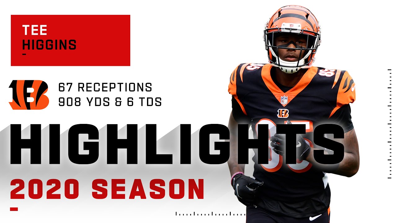Tee Higgins Full Rookie Season Highlights | NFL 2020