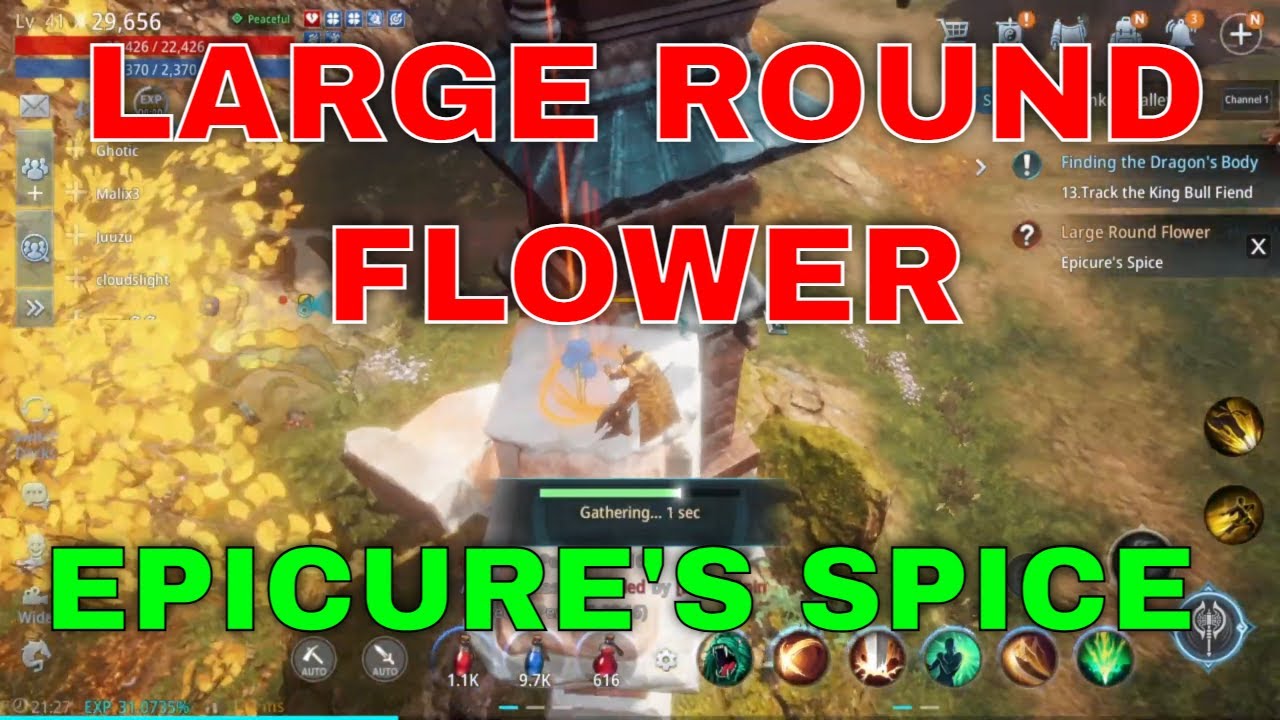 MIR4 Request Quest Clue: Large Round Flower Epicure's Spice Ginkgo Valley