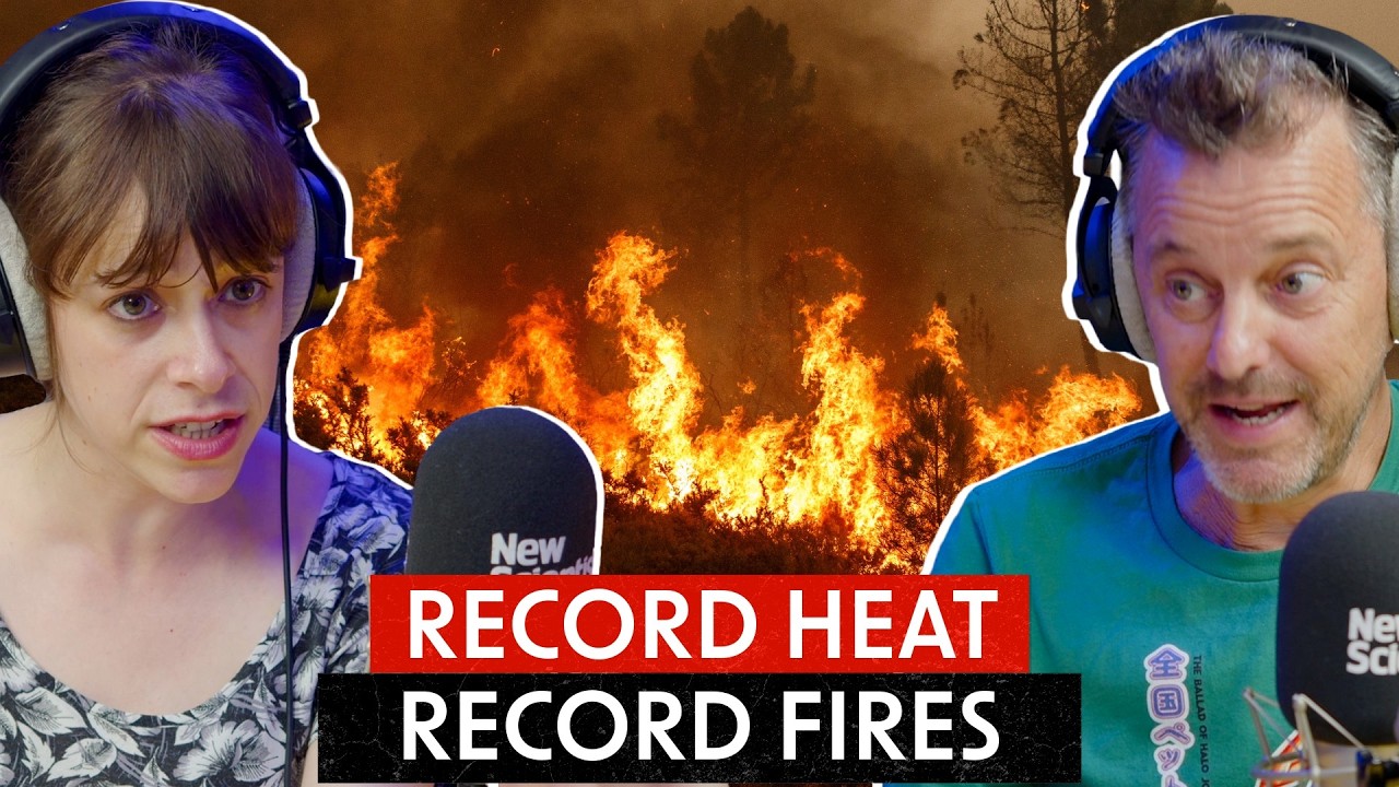 Wildfires Causing Worse Damage Since World War II