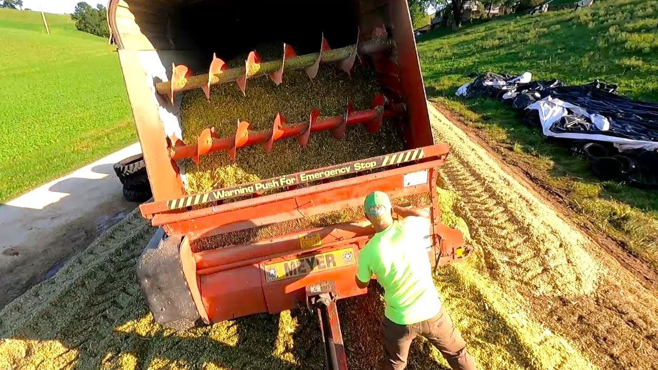 Рубим кукурузу, пока ящик не отвалится! Сезон сбора урожая 2025 года!