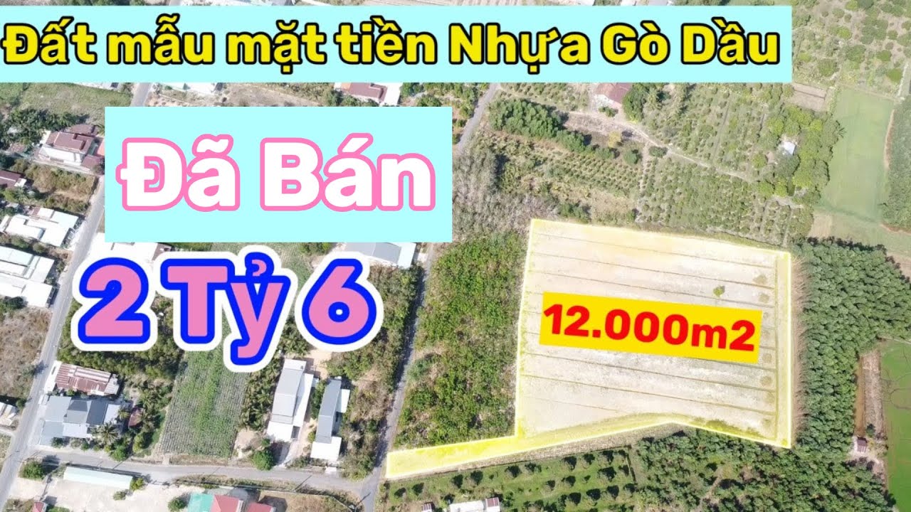 12000m2 1 mẫu 2 mặt tiền nhựa sau lưng trường học gò dầu chỉ 2 tỷ 600 triệu