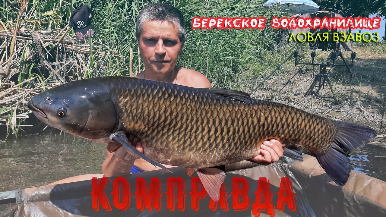 Берекское водохранилише (КОМПРАВДА) ловля взавоз.