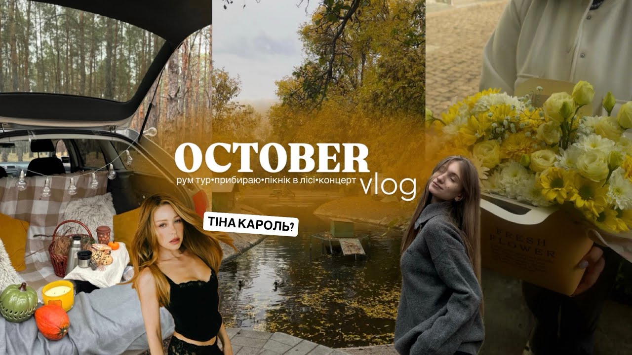 побачила ТІНУ КАРОЛЬ?? | прибираю в кімнаті | пікнік у ЛІСІ 🌲🪵📸