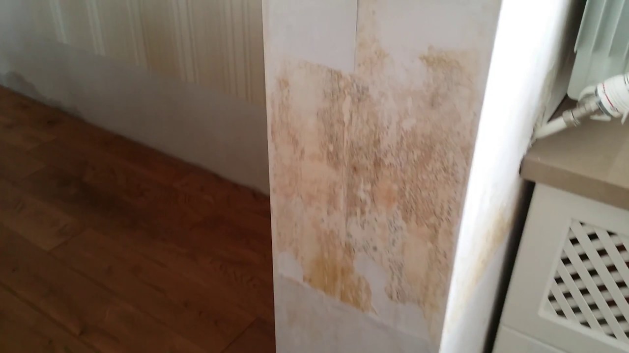 Video of Mold Inspection Project by Dryfast in San Francisco