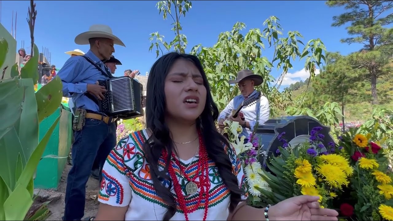 Un Puño de Tierra- Elizabeth Ciprian- cover (Antonio Aguilar)