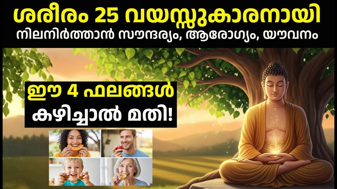 സൗന്ദര്യം, ആരോഗ്യം, യൗവനം – എല്ലാം ഈ 4 പഴത്തിൽ | Buddha Story |  Ayurveda Health Tips Malayalam