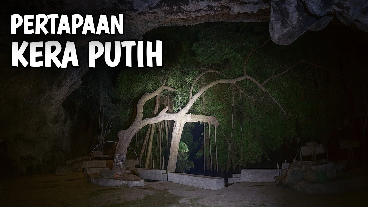 HANYA ADA DI JAWA! PERTAPAAN ANGKER KERA PUTIH DI LEMBAH SUNYI PEGUNUNGAN