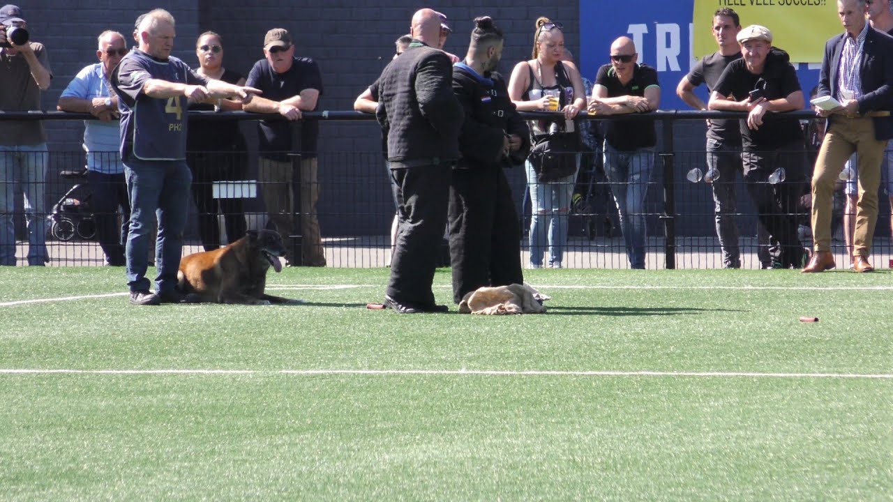 2022 KNPV Schotstellen PH2 en Object  3 september