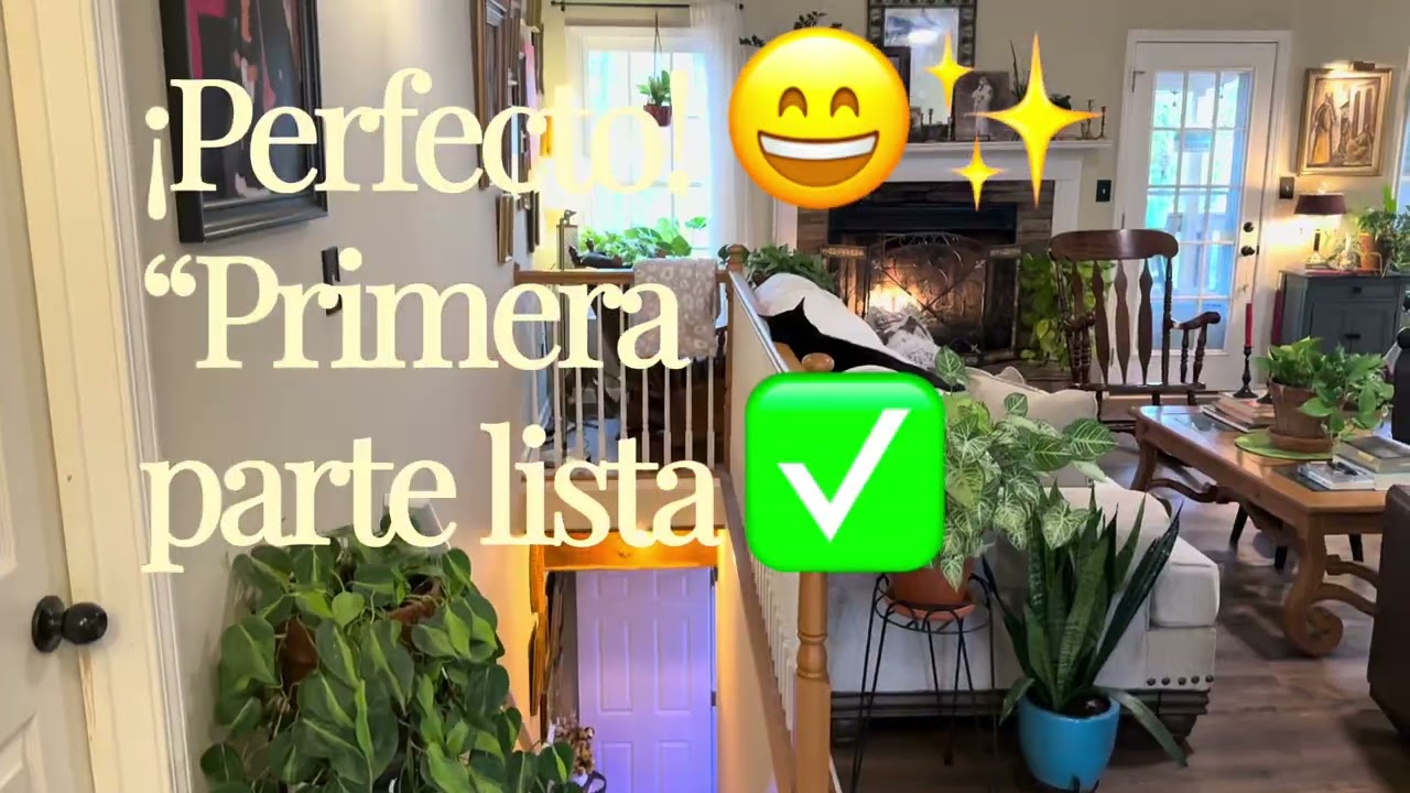 🪴Mi hogar lleno de plantas 🌿| 3 meses de cuidado y casi todas bellas, vivas y creciendo! 🙌
